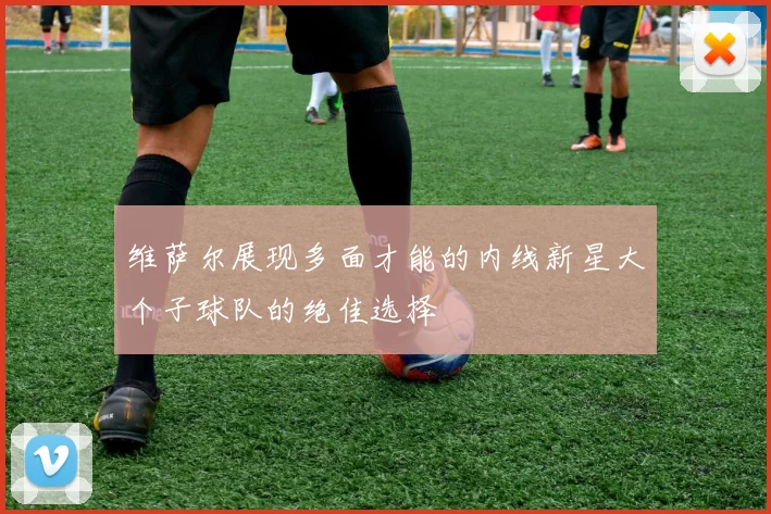 维萨尔展现多面才能的内线新星大个子球队的绝佳选择